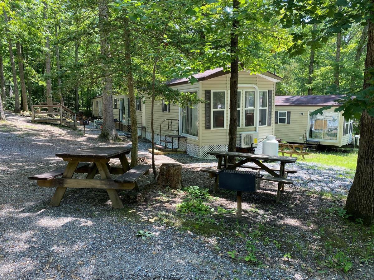 The Vintage Rv'S At Wilderness Presidential Camp Resort By Tripforth Spotsylvania Dış mekan fotoğraf