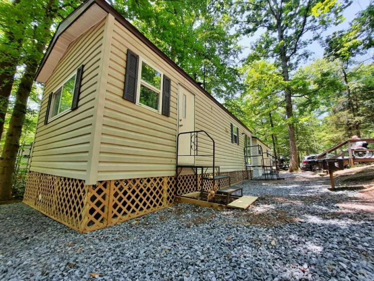 The Vintage Rv'S At Wilderness Presidential Camp Resort By Tripforth Spotsylvania Dış mekan fotoğraf